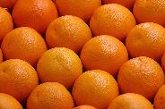 fresh oranges